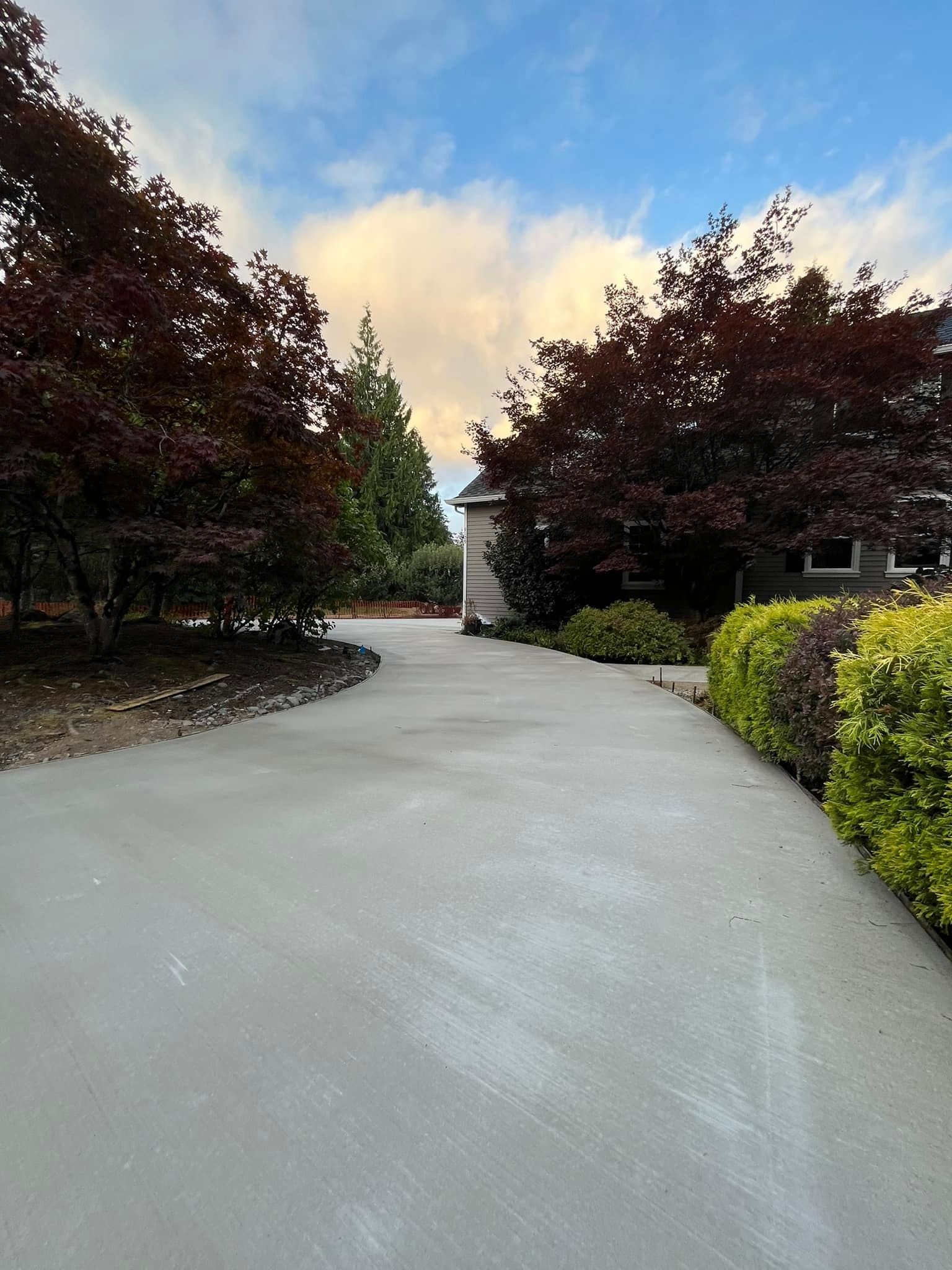 Newly paved concrete driveway with trees and shrubs.