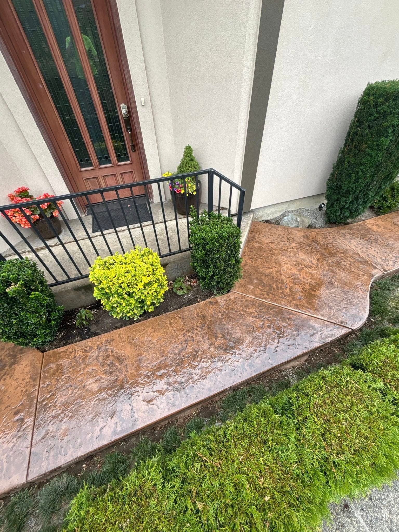 Brown concrete walkway leading to a front door with a black iron railing, bordered by green bushes and plants.