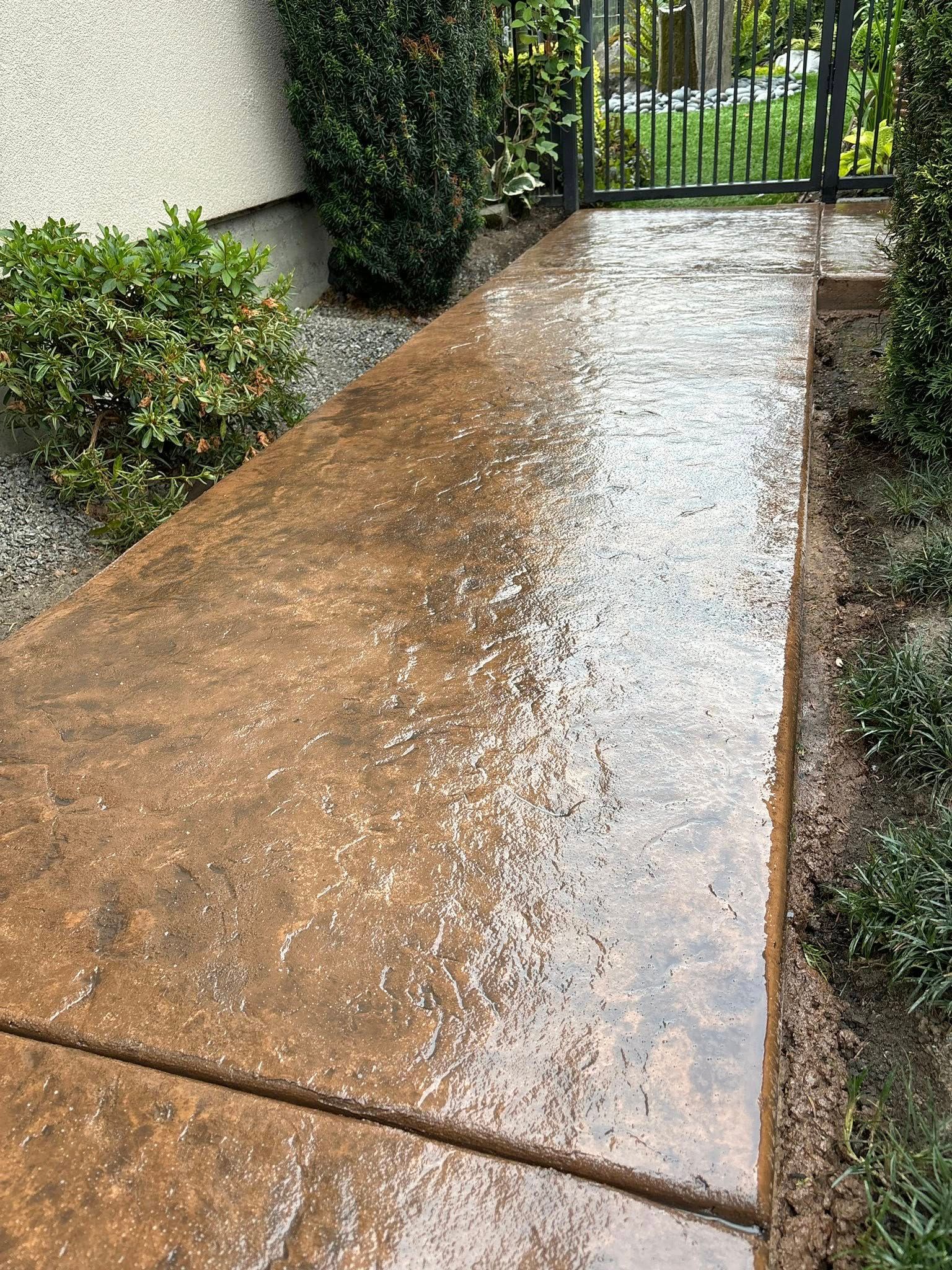 Wet, brown concrete walkway with dark spots, bordered by bushes and leading to a gate.