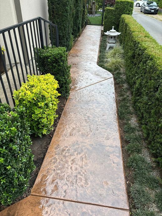 Concrete walkway lined with green hedges and bushes, leading toward a street.