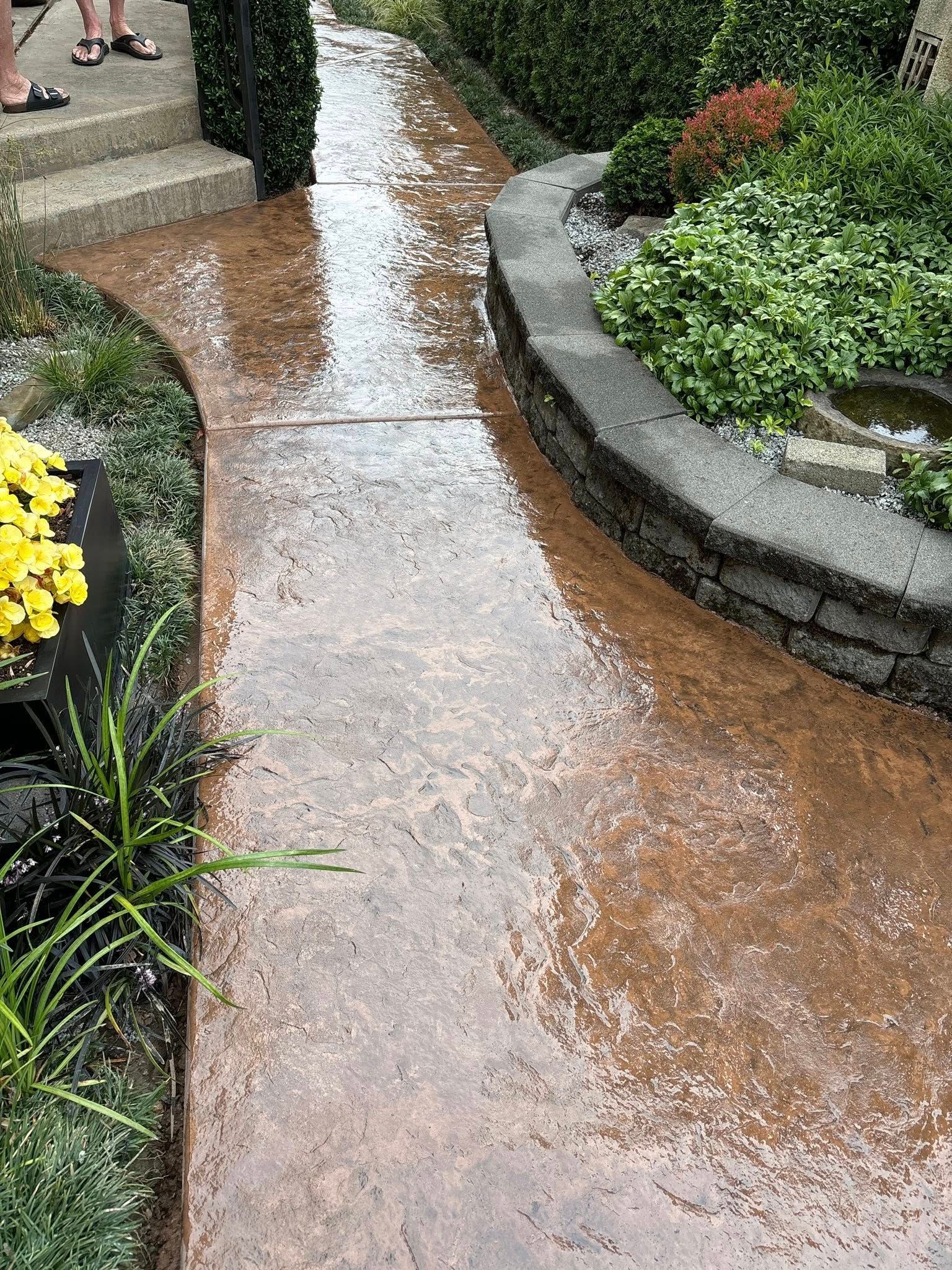 Wet, brown-colored walkway curves past green shrubs and a small stone wall. Steps and feet visible at the top left.