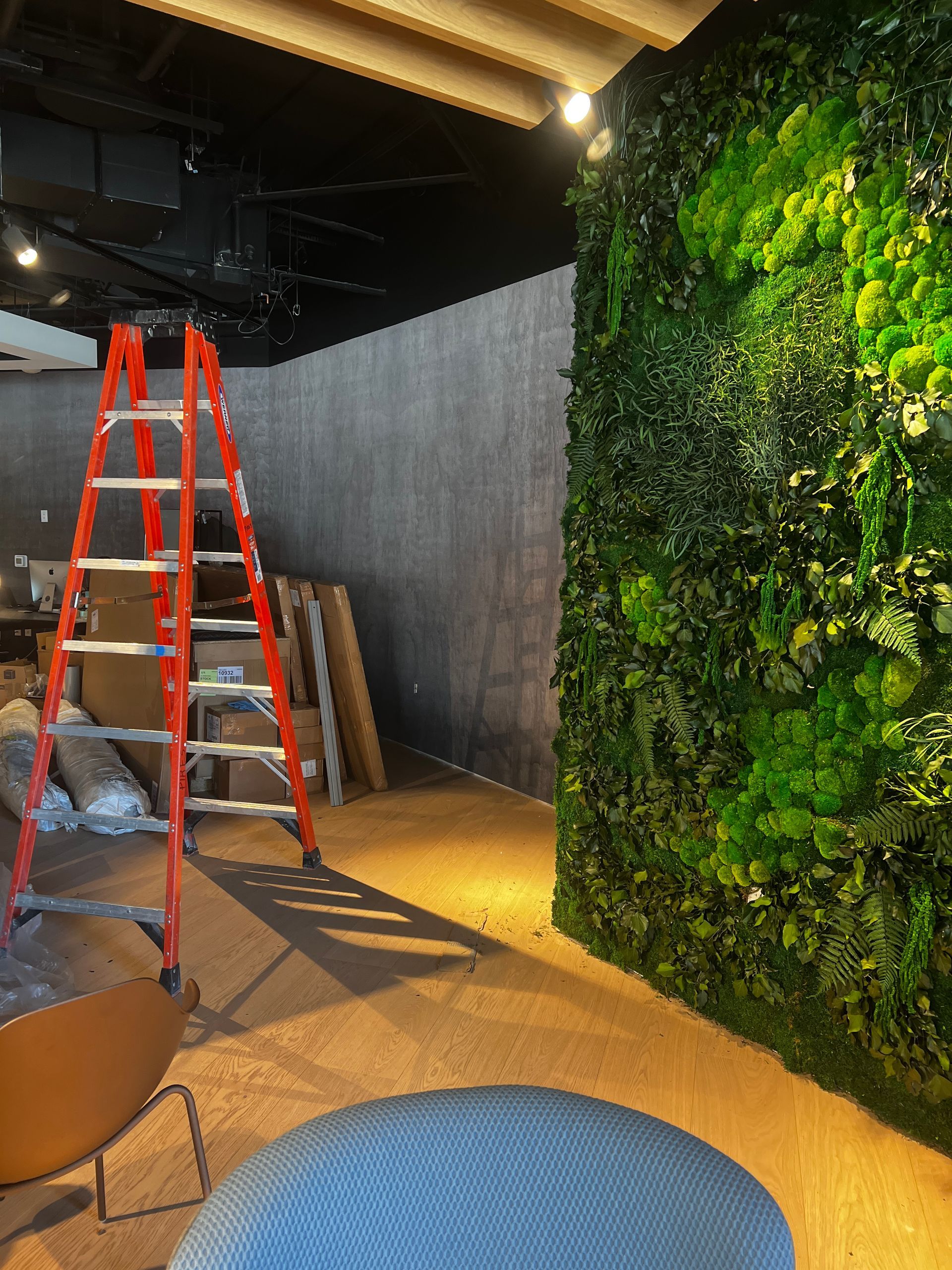 A ladder is sitting in a room next to a green wall.