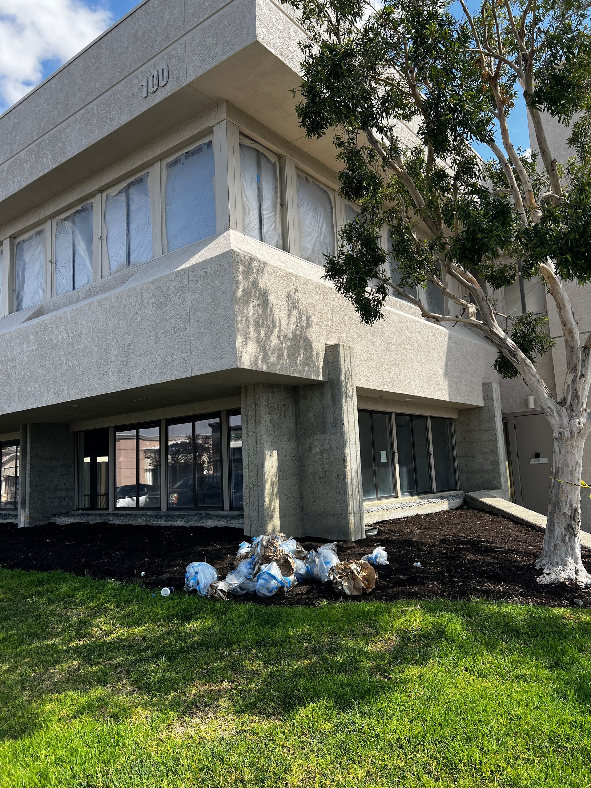 A large building with a lot of windows and a tree in front of it.