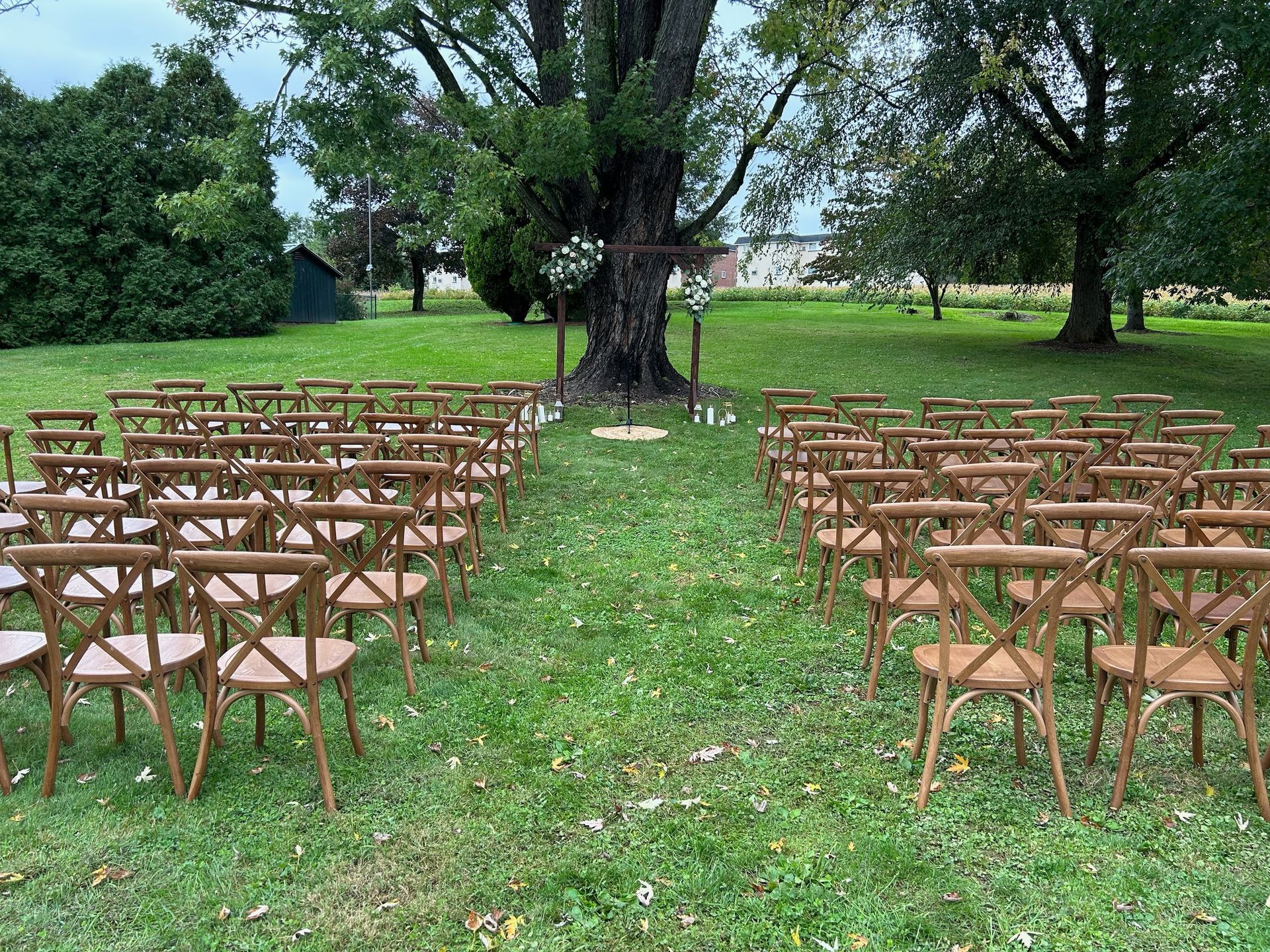 Wooden chairs arranged outdoors for an event, facing a tree. Green grass and sky.