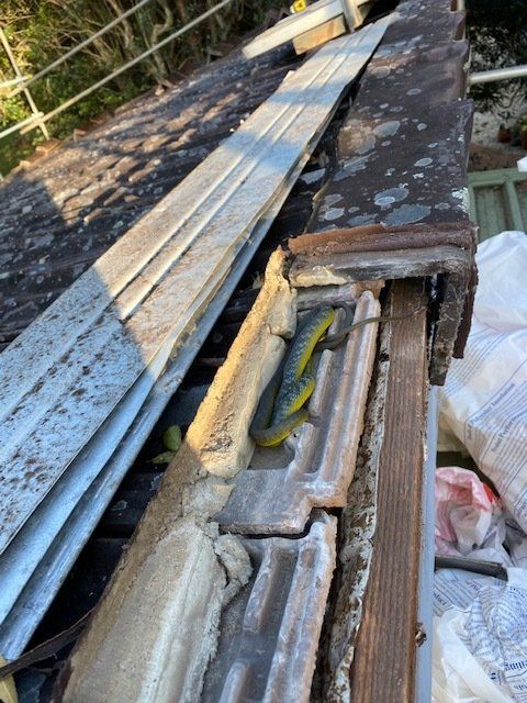 Roof Repair with Snake — Leonard Gray Roof Tiling In Goonellabah, NSW