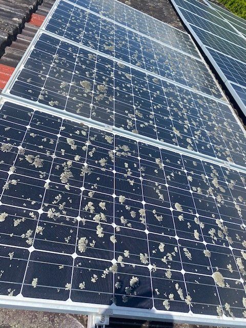 Solar Panel Before Clean — Roof Pressure Cleaning in Lismore, NSW