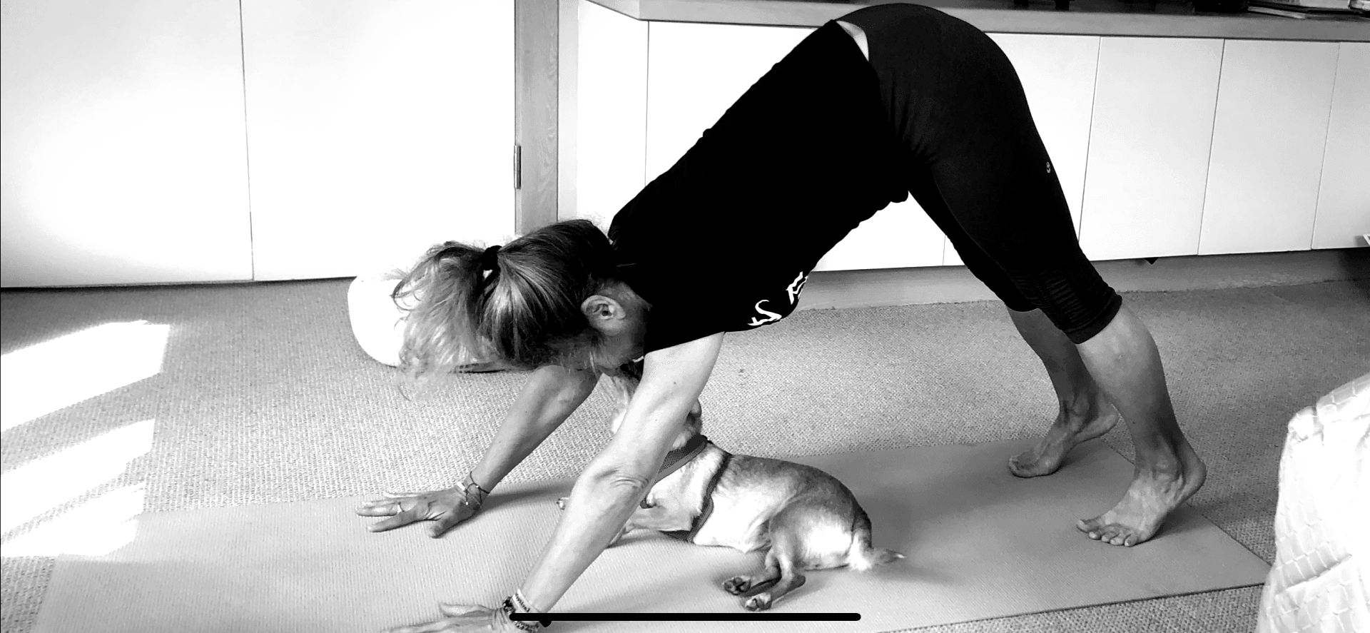 Virtual Yoga At Home