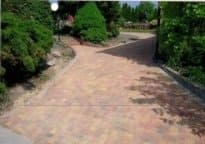 Eine gepflasterte Auffahrt, umgeben von Bäumen und Büschen in einem Park.