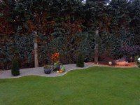 Ein üppiger grüner Rasen mit einem Zaun und Bäumen im Hintergrund.