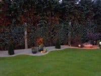 Ein üppiger grüner Rasen mit einem Zaun und Bäumen im Hintergrund.