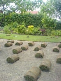 In einem Garten liegen ein paar Grasrollen auf dem Boden.