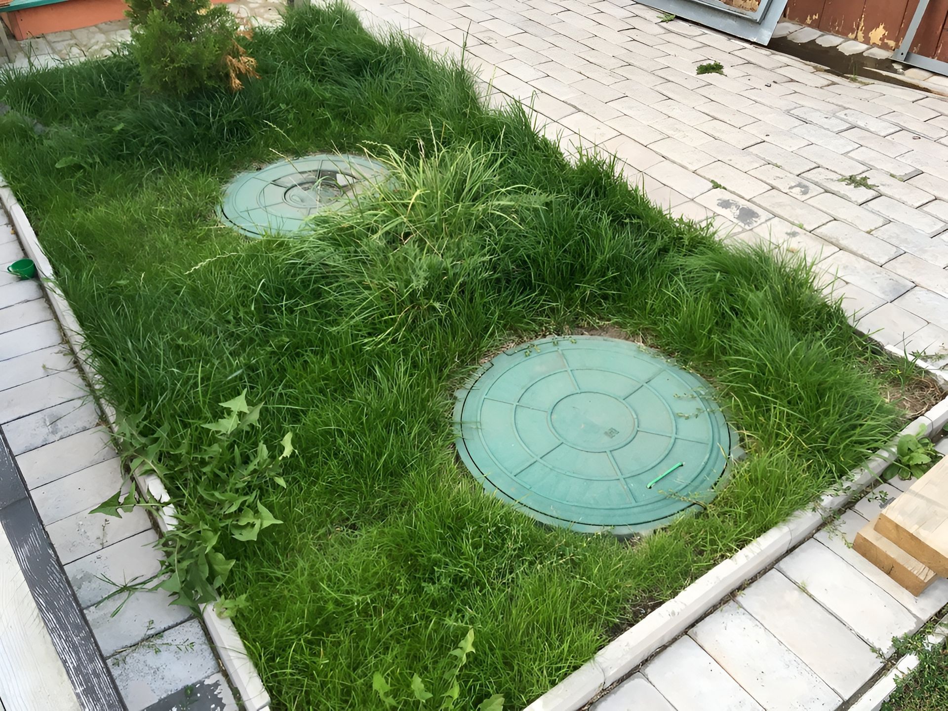 Two Green Septic Tank Covers in a Rectangular Grassy Area — Paap's Cleansing Services in Bargara, QLD