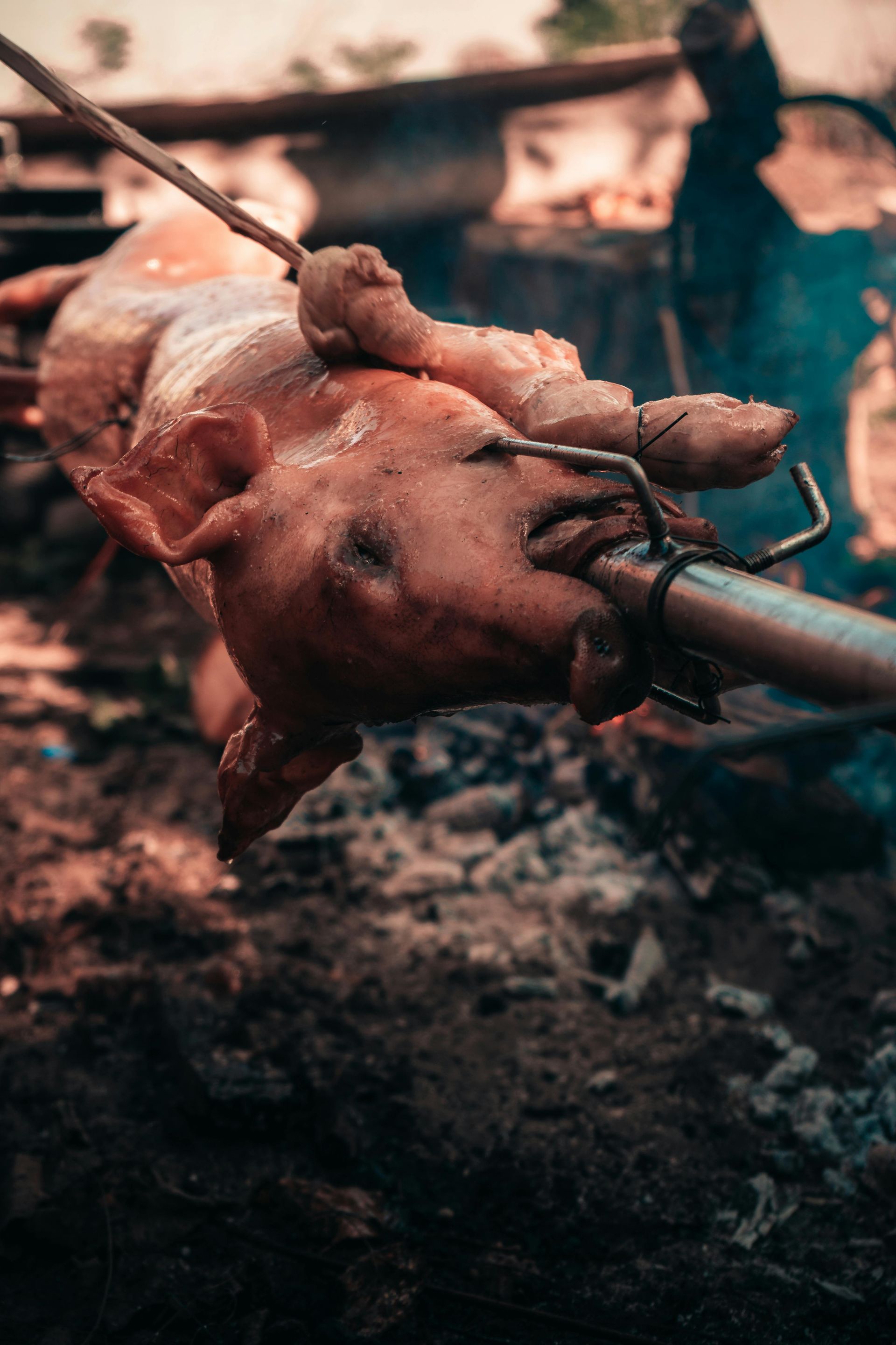 A pig is being cooked on a spit over a fire.