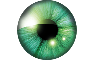 Eine Nahaufnahme von einem grünen Auge auf weißem Hintergrund