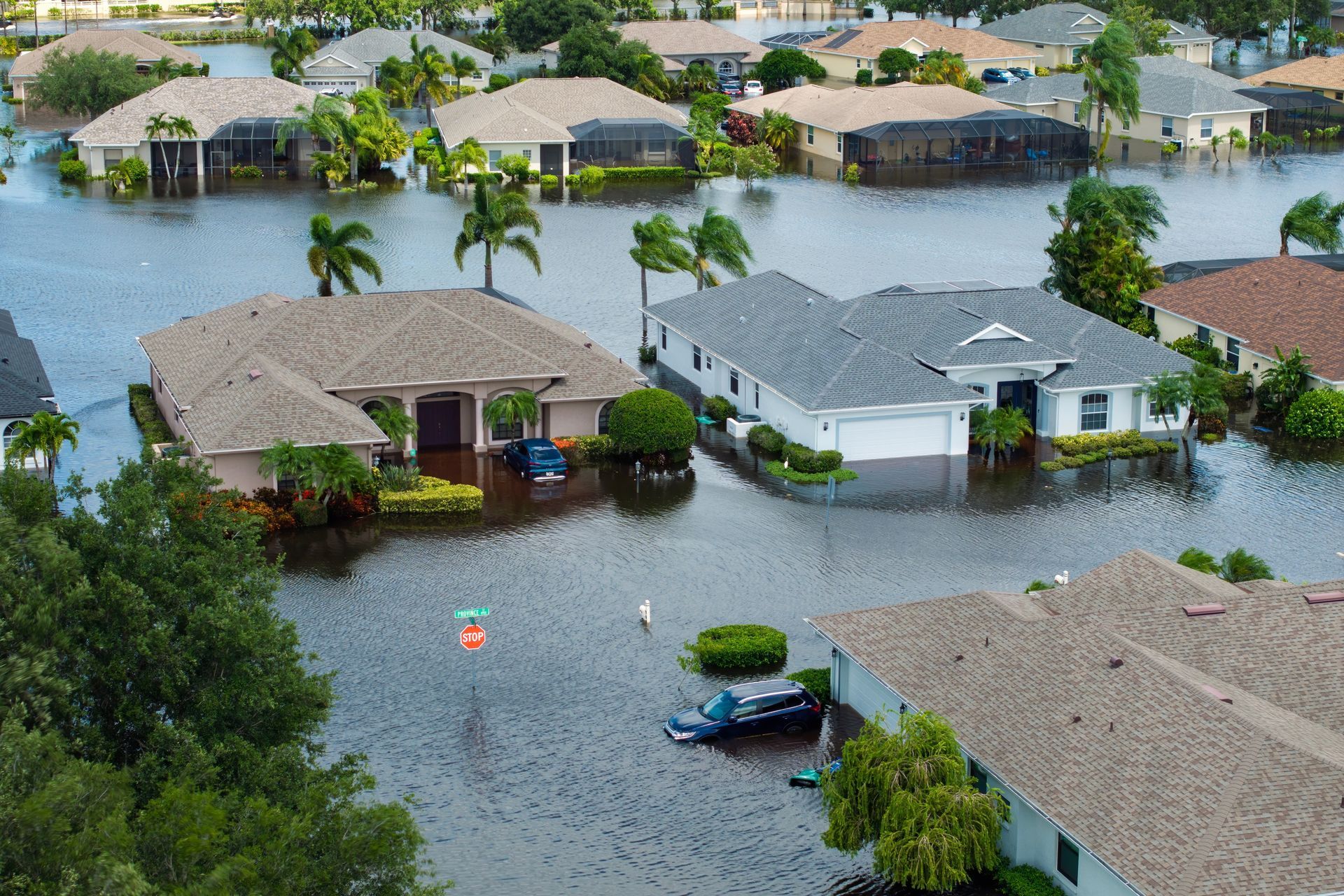 Flooded suburban homes; dark water surrounds houses and cars; overcast sky.