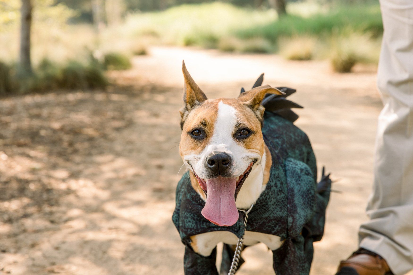 Shy Heart Studios | Orange County Family Photographer | Family Portrait