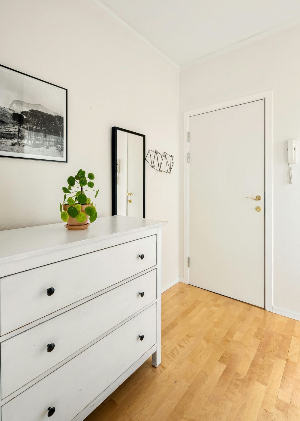 White chest of drawers with plant and artwork in a hallway with wooden floors and a closed door.