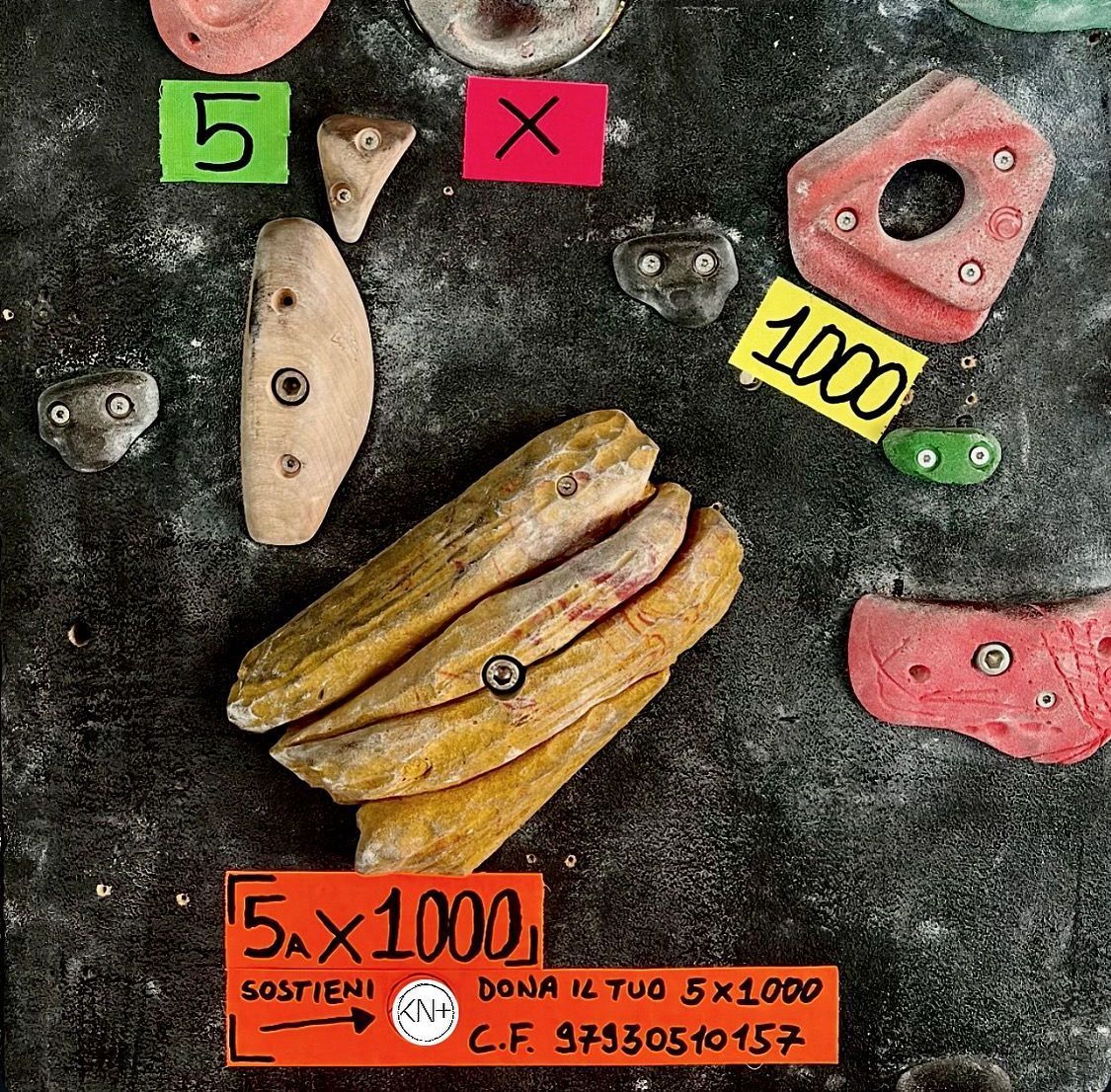 CORSI DI ARRAMPICATA MILANO - CLIMBING MILANO