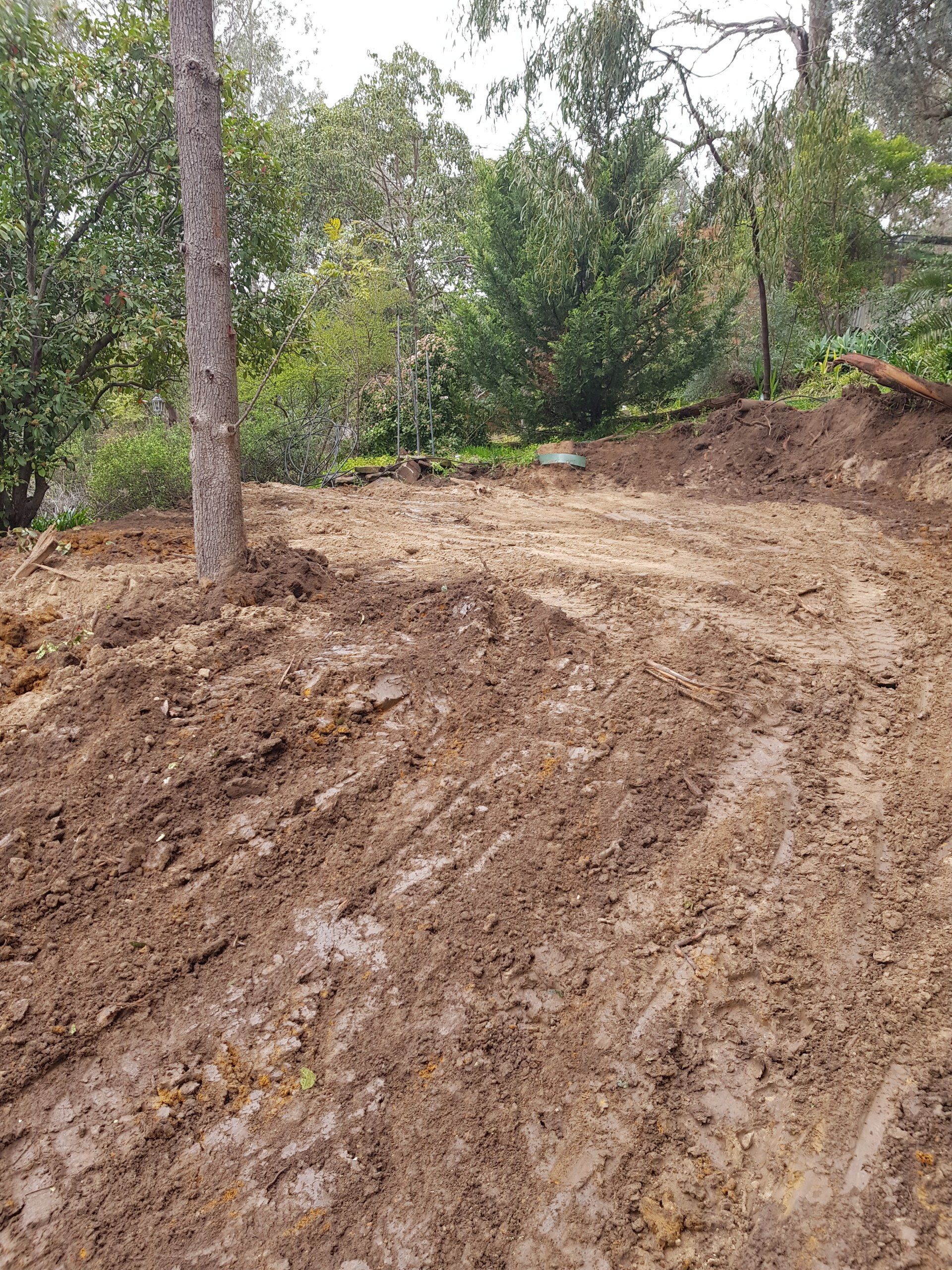 Excavator Clearing — Blackwood SA — Blackwood Earthmoving