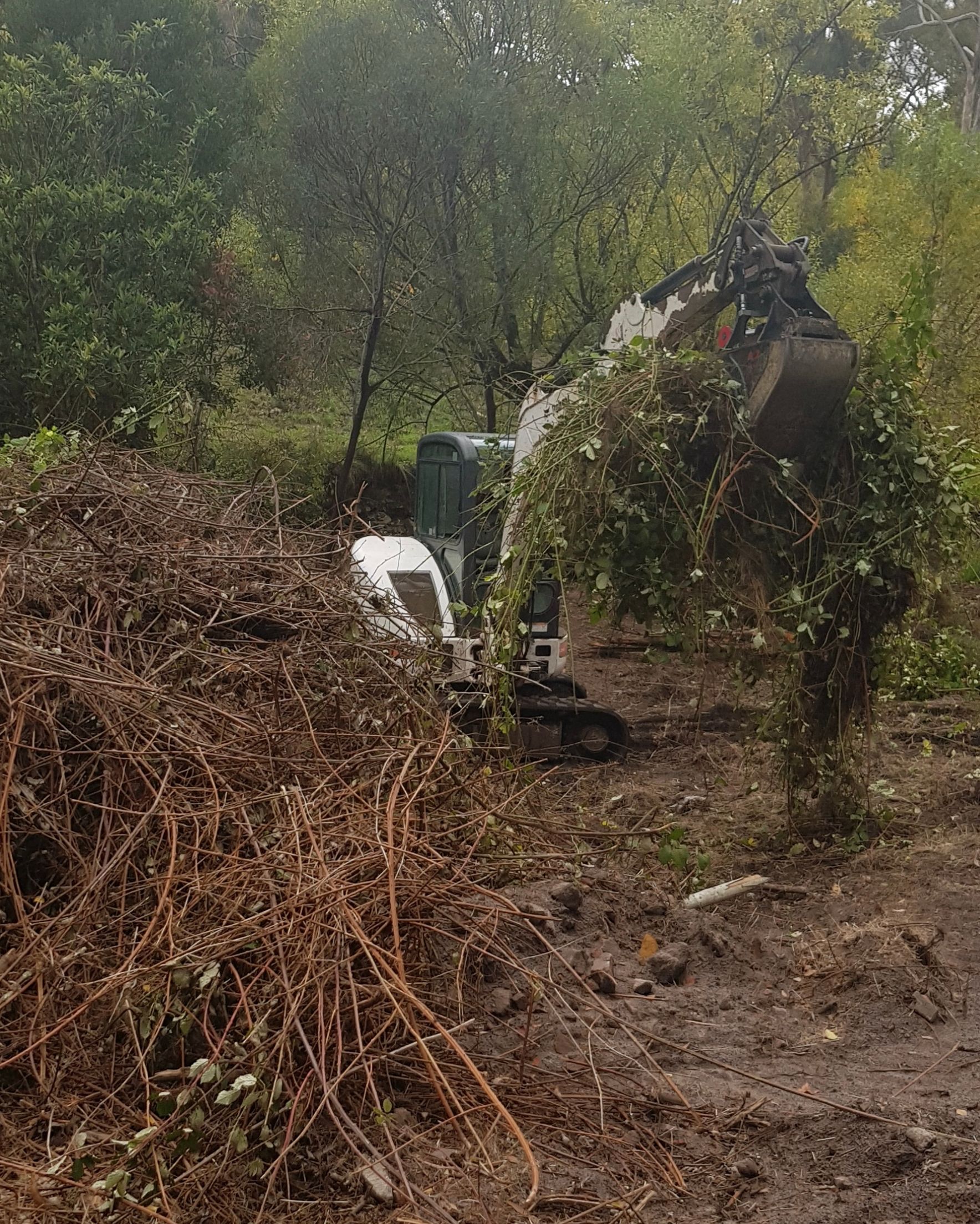 A Bulldozer Is Digging In The Dirt In A Forest – Blackwood SA - Blackwood Earthmoving