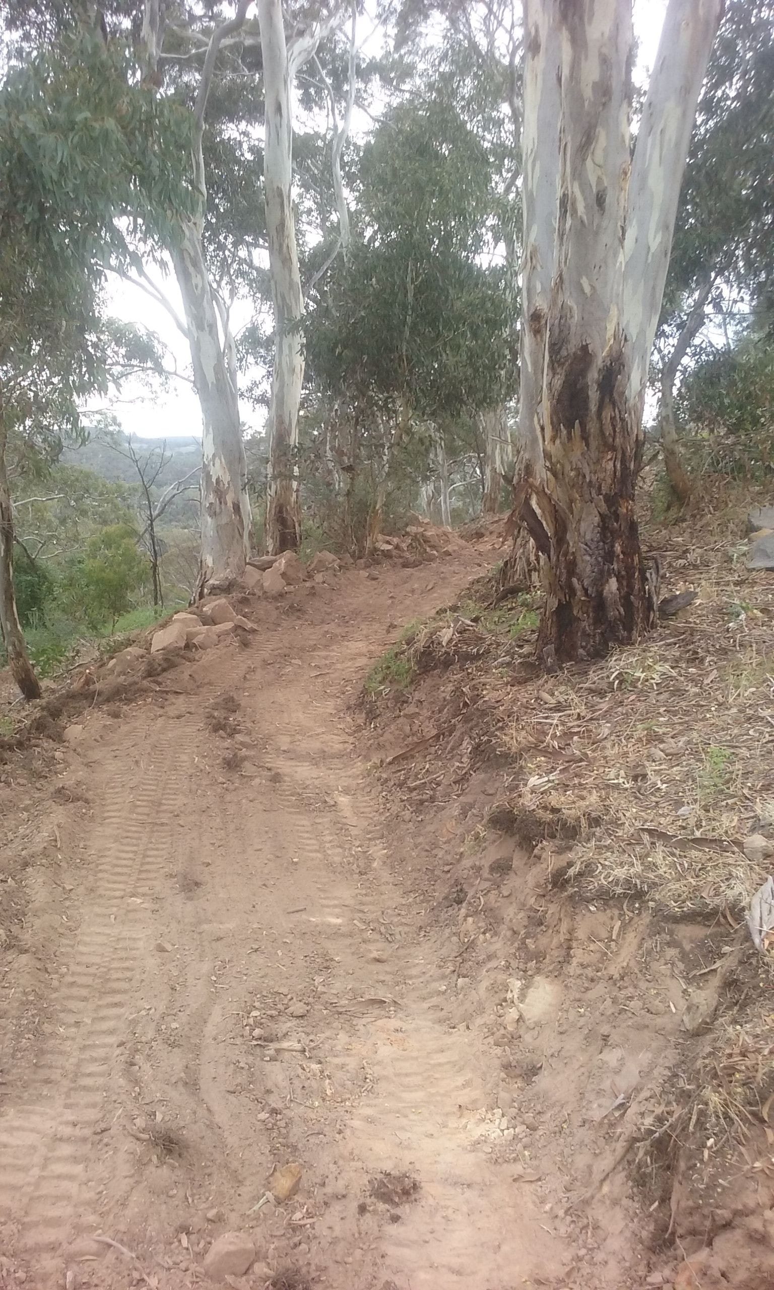 Earthmoving Contractors Blackwood Earthmoving — Blackwood SA — Blackwood Earthmoving