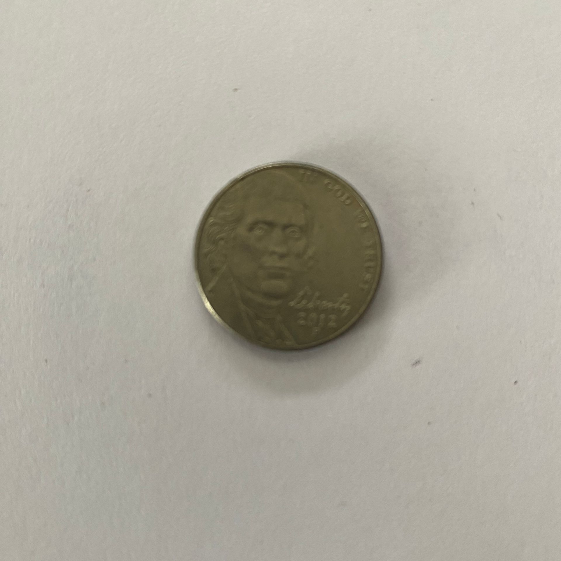 Close-up of the head of a nickel