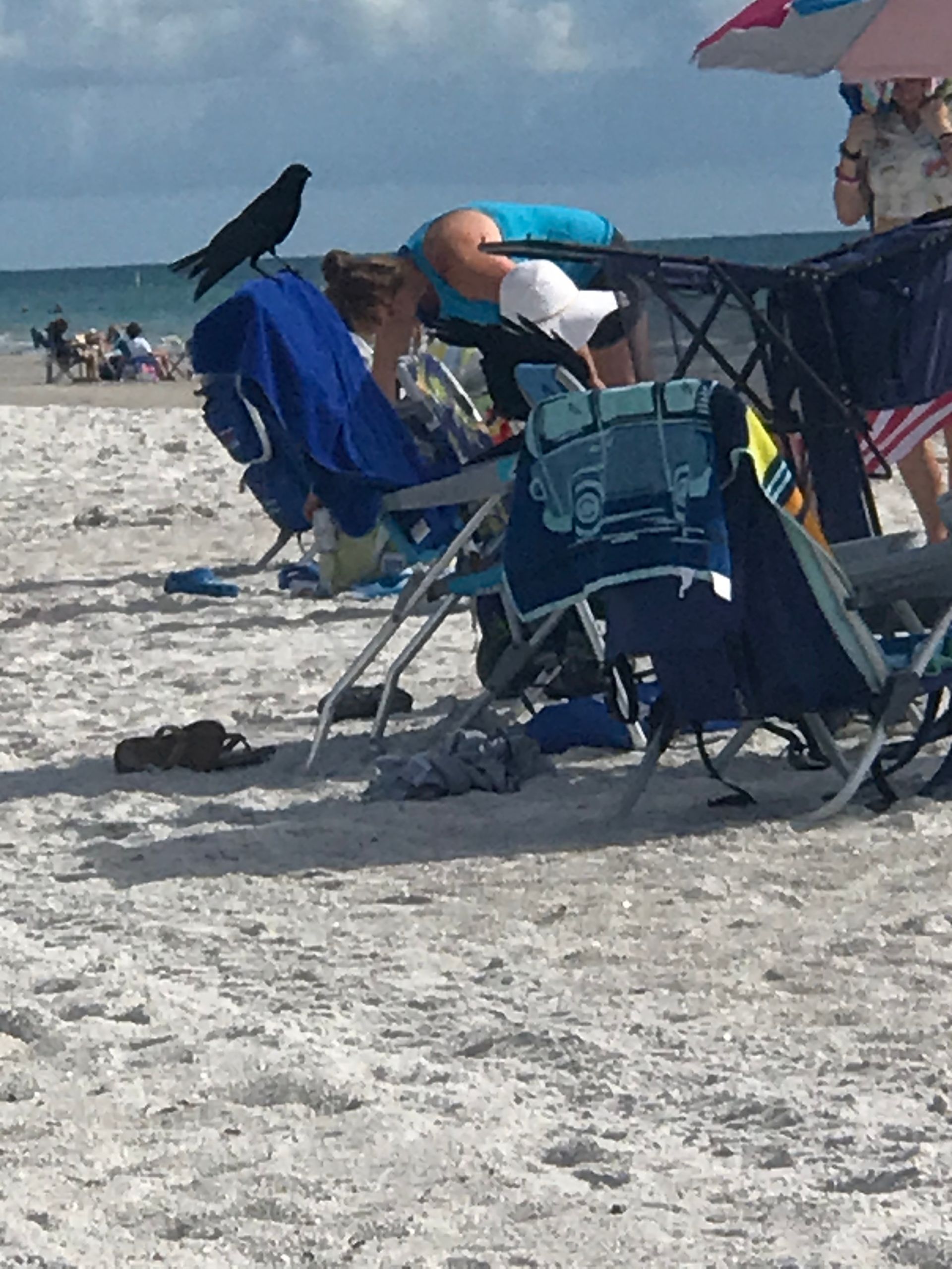 Beach scene with black crow perched on beach chair covered in blue blanket, people on beach, sand, ocean, and blue sky in background