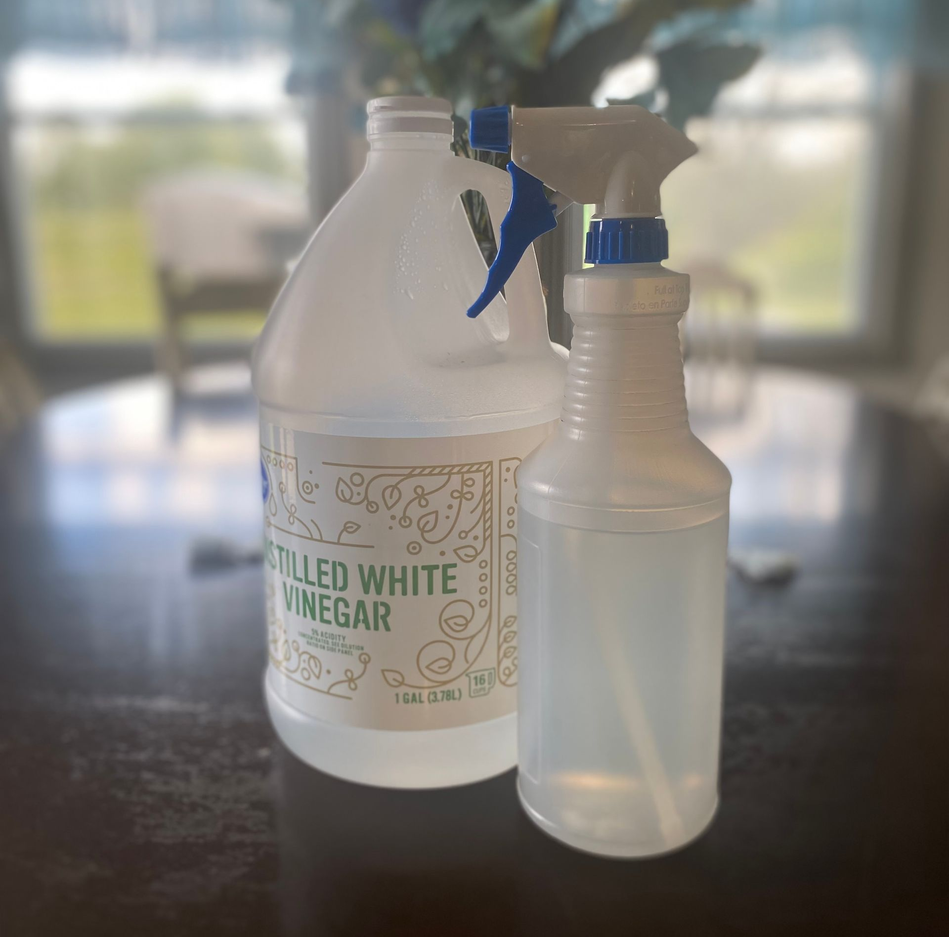 Gallon jug of vinegar next to spray bottle of vinegar