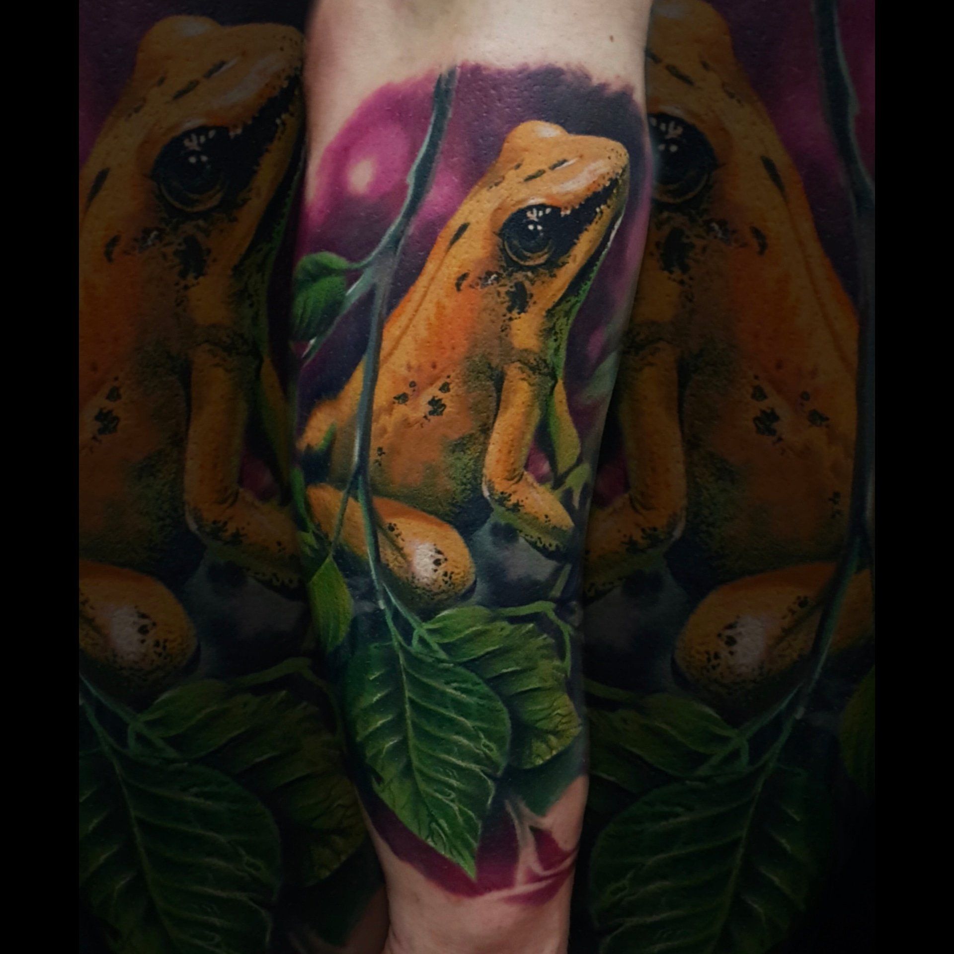 Gelber Frosch Tattoo, Farbig, künstlerisches Tattoo. Jungel, Tiertattoo, Neotraditional, Color realism, , zum weißen hai, Logo, Göppingen, Stuttgart, Bad Boll, Kirchheim unter Teck, Esslingen,, Weilheim, 0711 Nadelspiel, Hieronymus Röhrig, porno tattoo, heftige tattoo,
