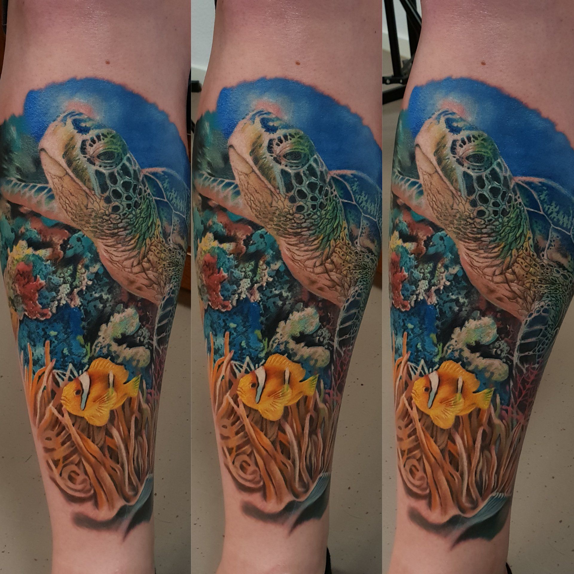 Schildkröten Tattoo, Unterwasser Tattoo, Fisch Tattoo, Farbig, Traumhaftes Tattoo, header mit Tattoo, Tattoos, Neotraditional,