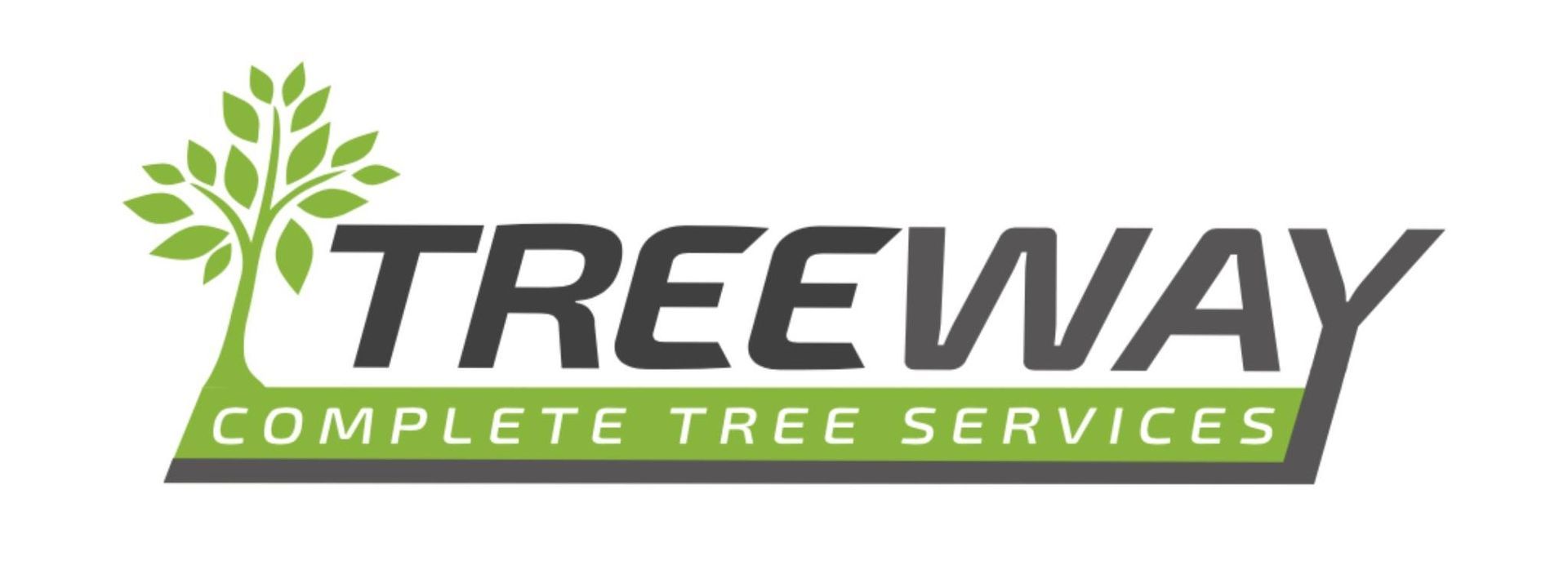 Tree Way Is The Right Way