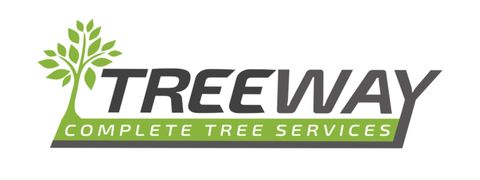 Tree Way Is The Right Way