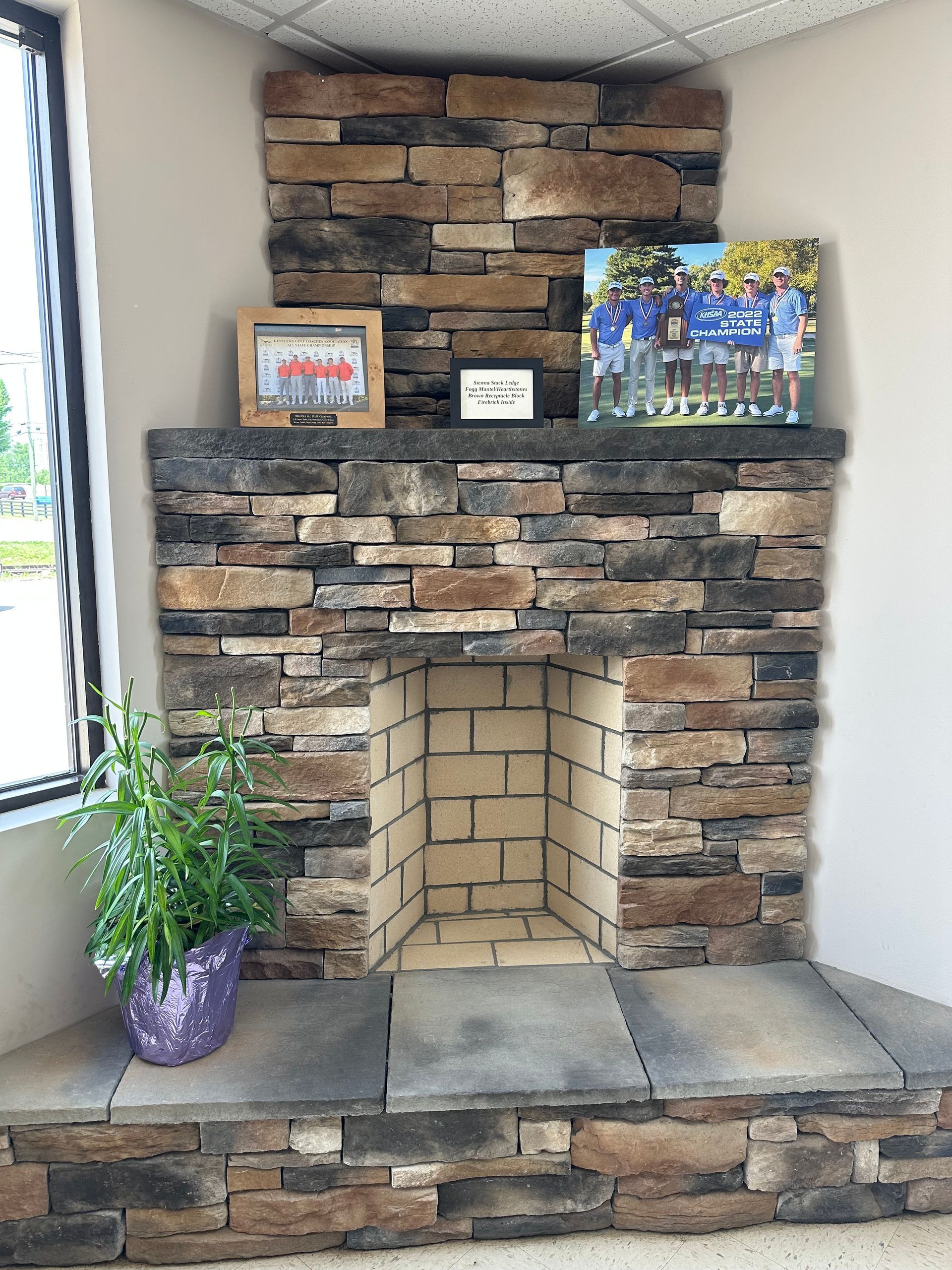 a stone fireplace with a potted plant in front of it