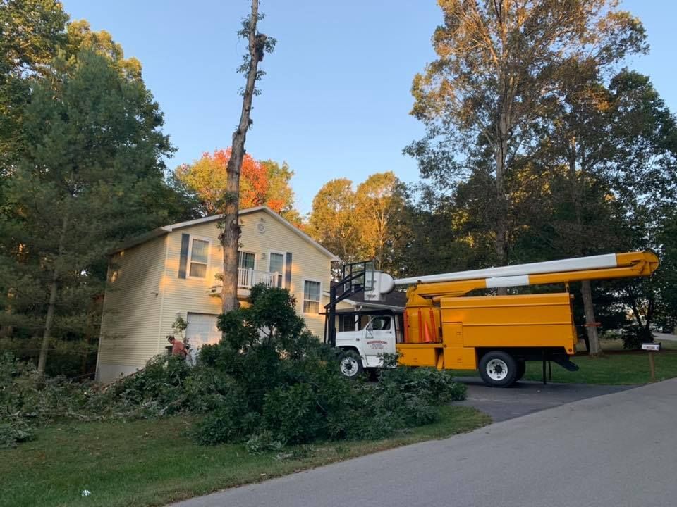 Yellow tree service truck next to a beige house, cutting branches.