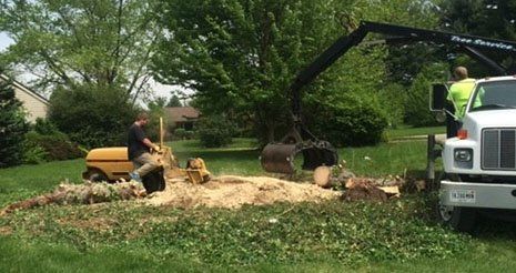 A stump grinder, yellow with a red handle, grinds a tree stump into wood chips.
