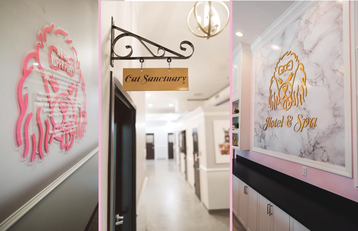 Yuppy Puppy plex signage, directional signage, and flat laid signage over vinyl wall graphic