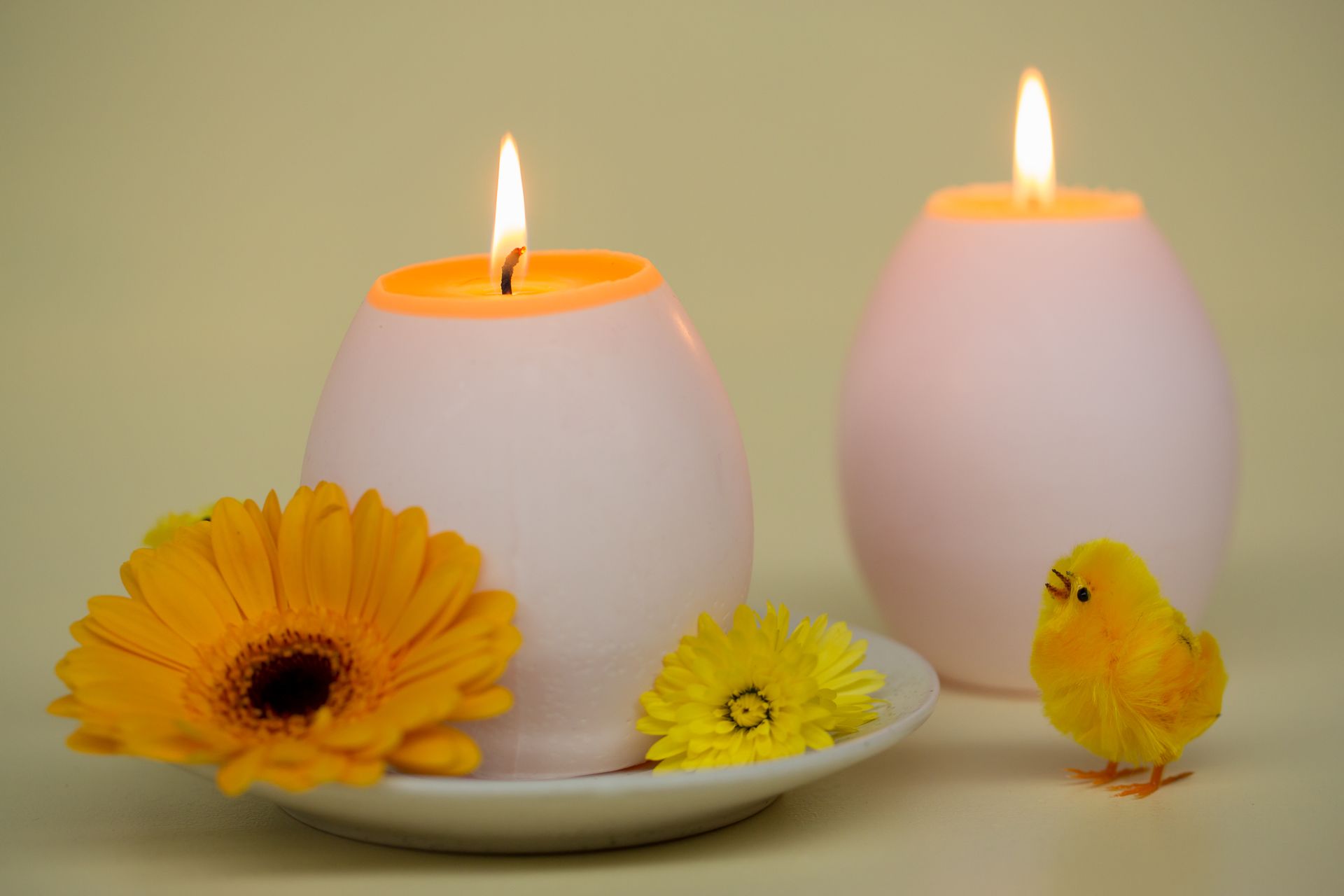 Rustik Lys - Magic Egg