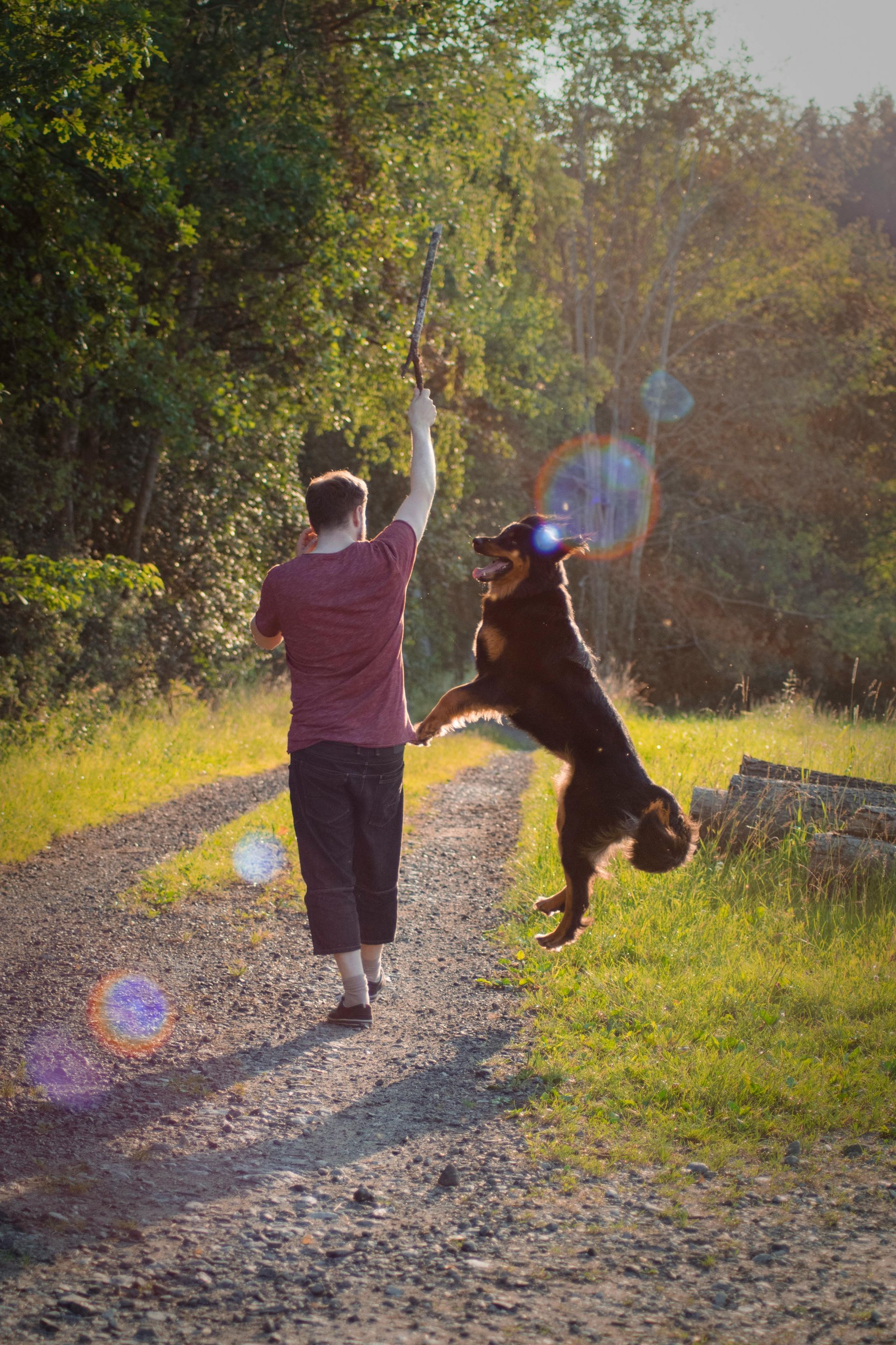 A man is playing with a dog on a dirt road.