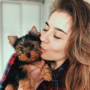 A woman is kissing a small dog on the cheek