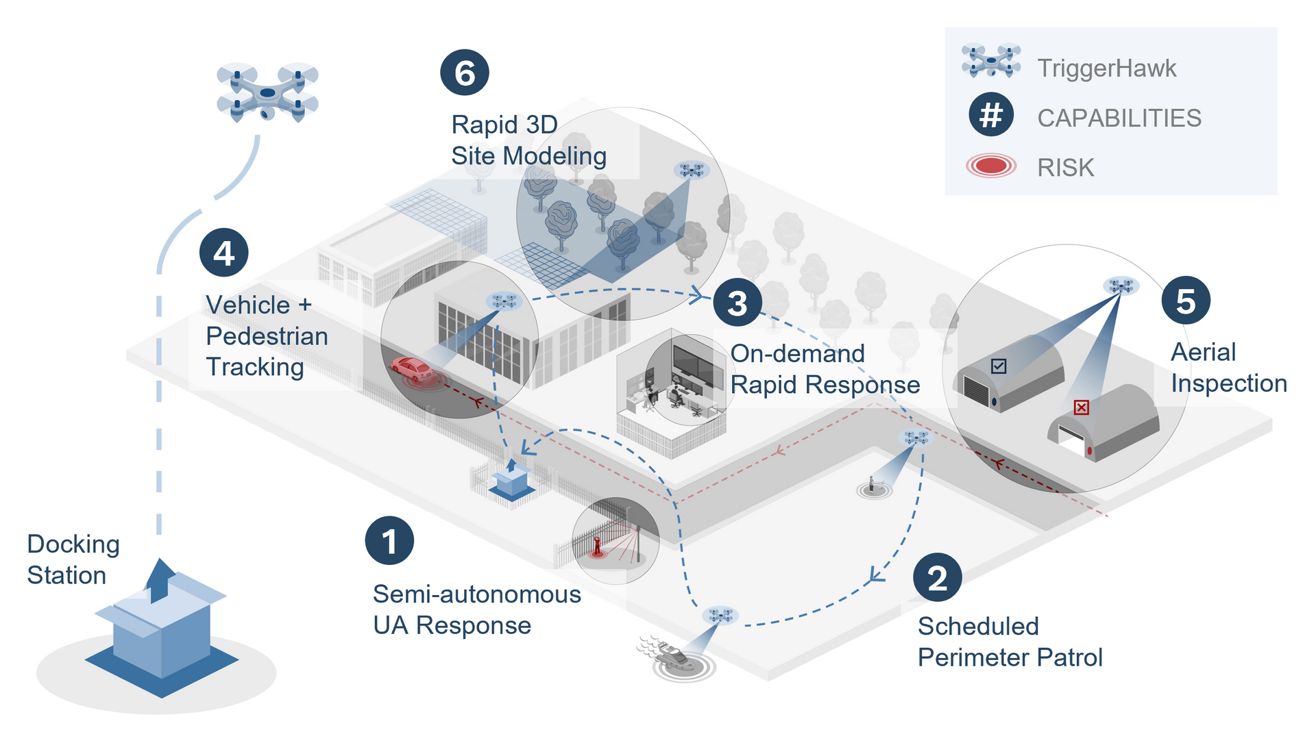 Bowler Pons TriggerHaw diagram