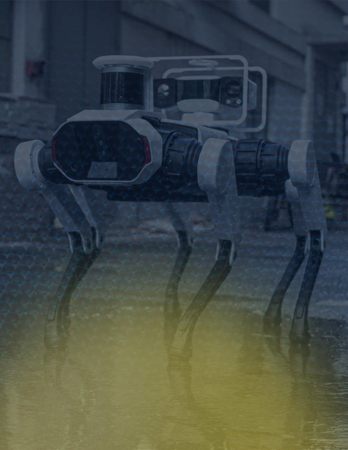 Bowler Pons Shadow guard land-based autonomous