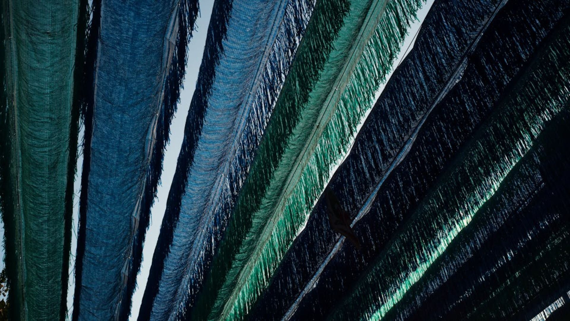 Olas de agua azul y verde, dispuestas de arriba a la izquierda hacia abajo a la derecha.