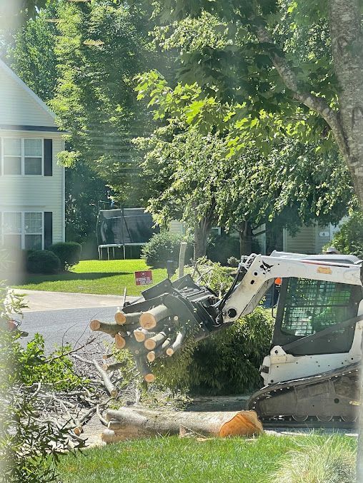 tree services 7