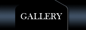 Gallery Graphic - Gutter Contractor