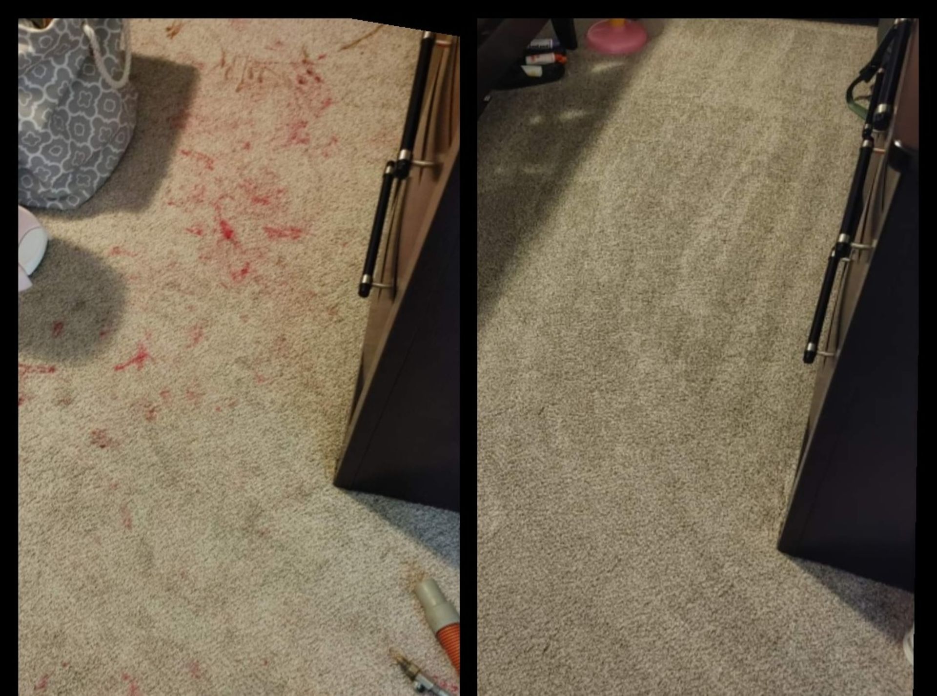 Expert Carpet Cleaning Services in Kingsland