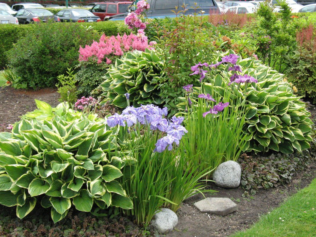 garden and landscape design service in Victoria, British Columbia with flowers and shrubs in a garden