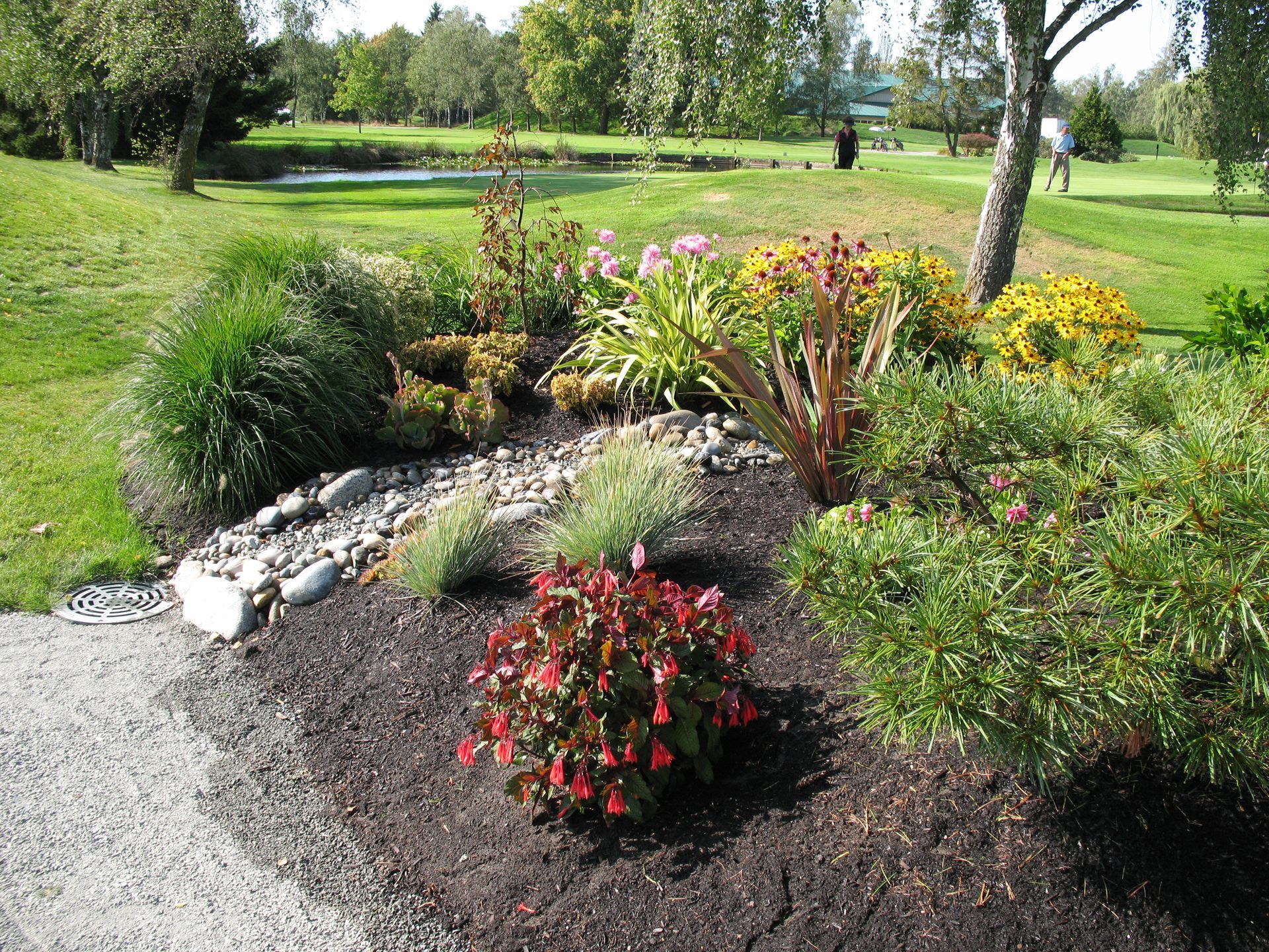 French drain running through garden with shrubs and flowers in Victoria, BC