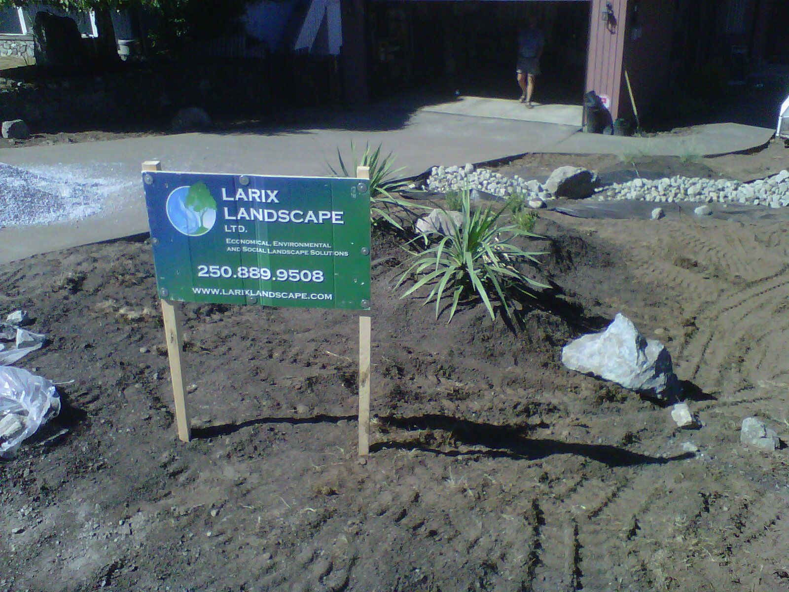 Picket sign with Larix Landscape logo and contact info planted in soil of residential front yard
