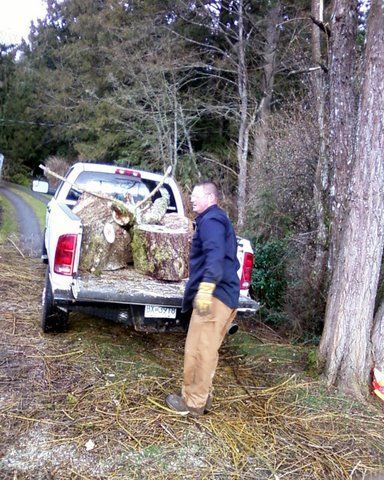 Larix Landscape tree service truck full of suctions of felled tree trunk