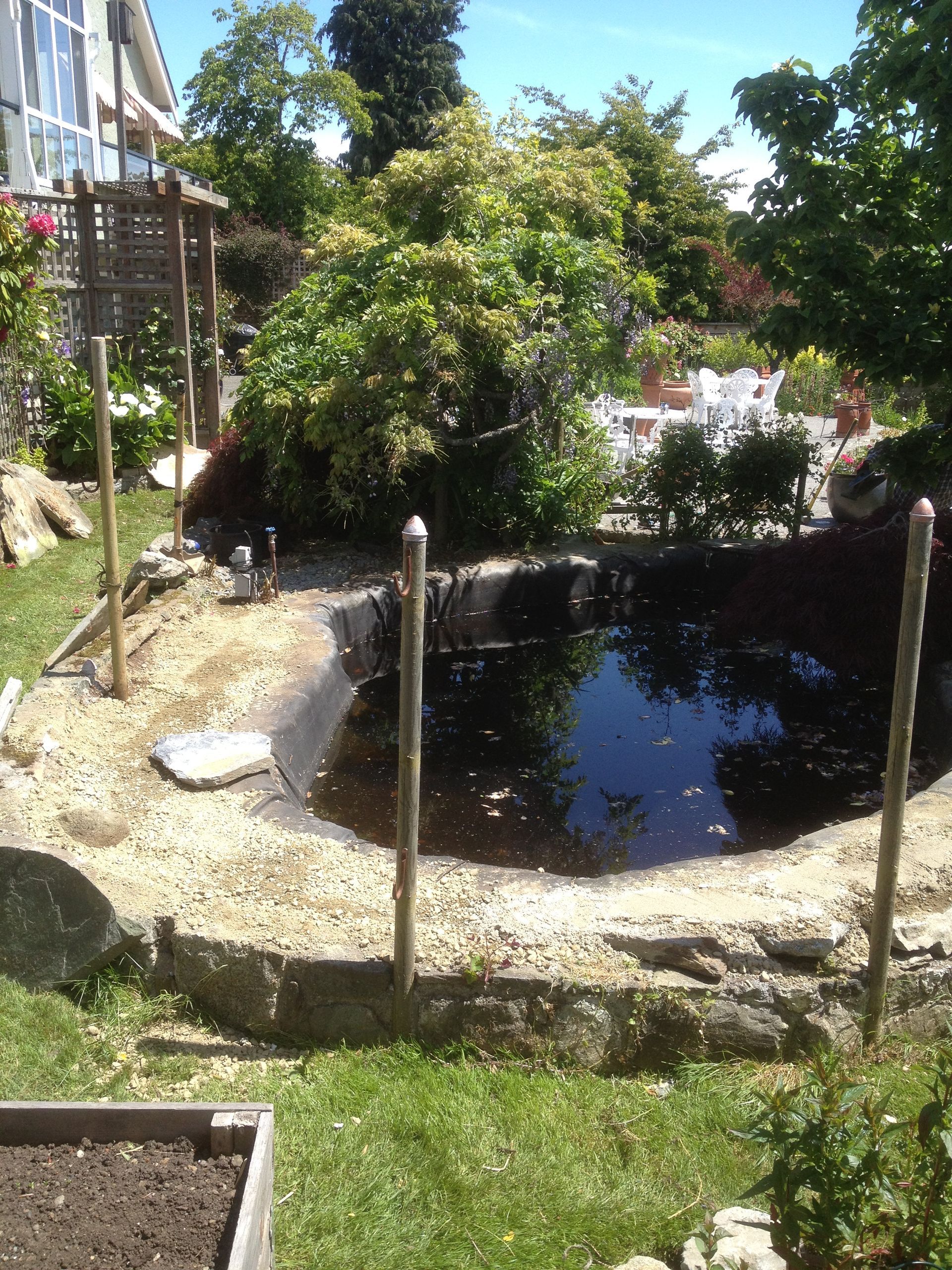 Another view of the pond our contractor installed for this Victoria BC home